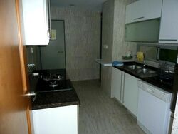 The Serenade @ Holland (D10), Condominium #520444571